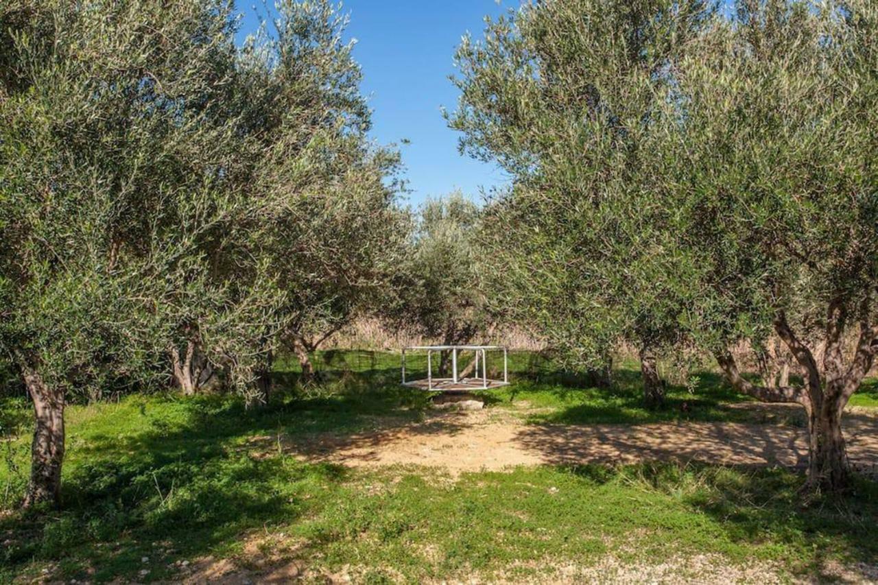 Olive Tree Farm 200M From The Beach Episkopi  Exterior photo