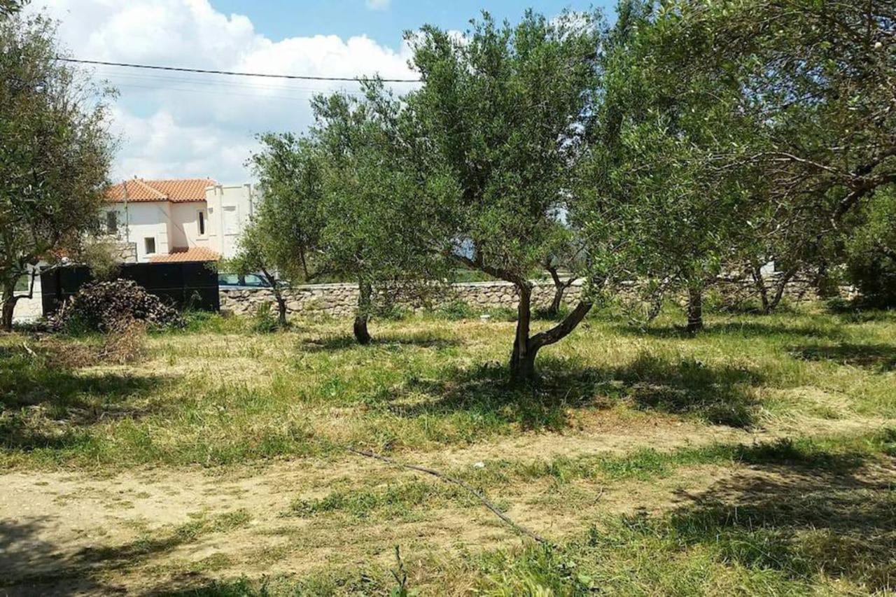 Olive Tree Farm 200M From The Beach Episkopi  Exterior photo