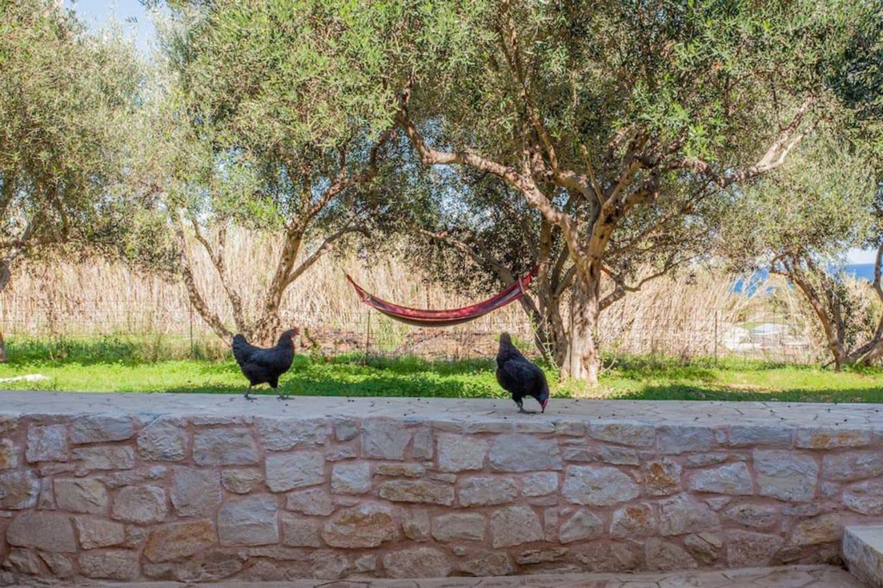 Olive Tree Farm 200M From The Beach Episkopi  Exterior photo